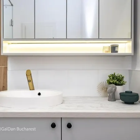 Appartement The Loft Luxury Apartments-near The Park In The Center Boekarest