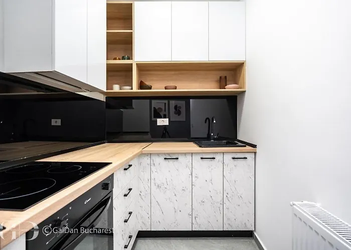 The Loft Luxury Apartments-near The Park In The Center Apartman Bukarest